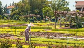 image-47